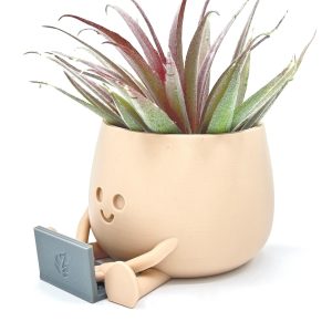 Happy Face Planter, gift desk accessory, fun office decor, creative indoor plant holder